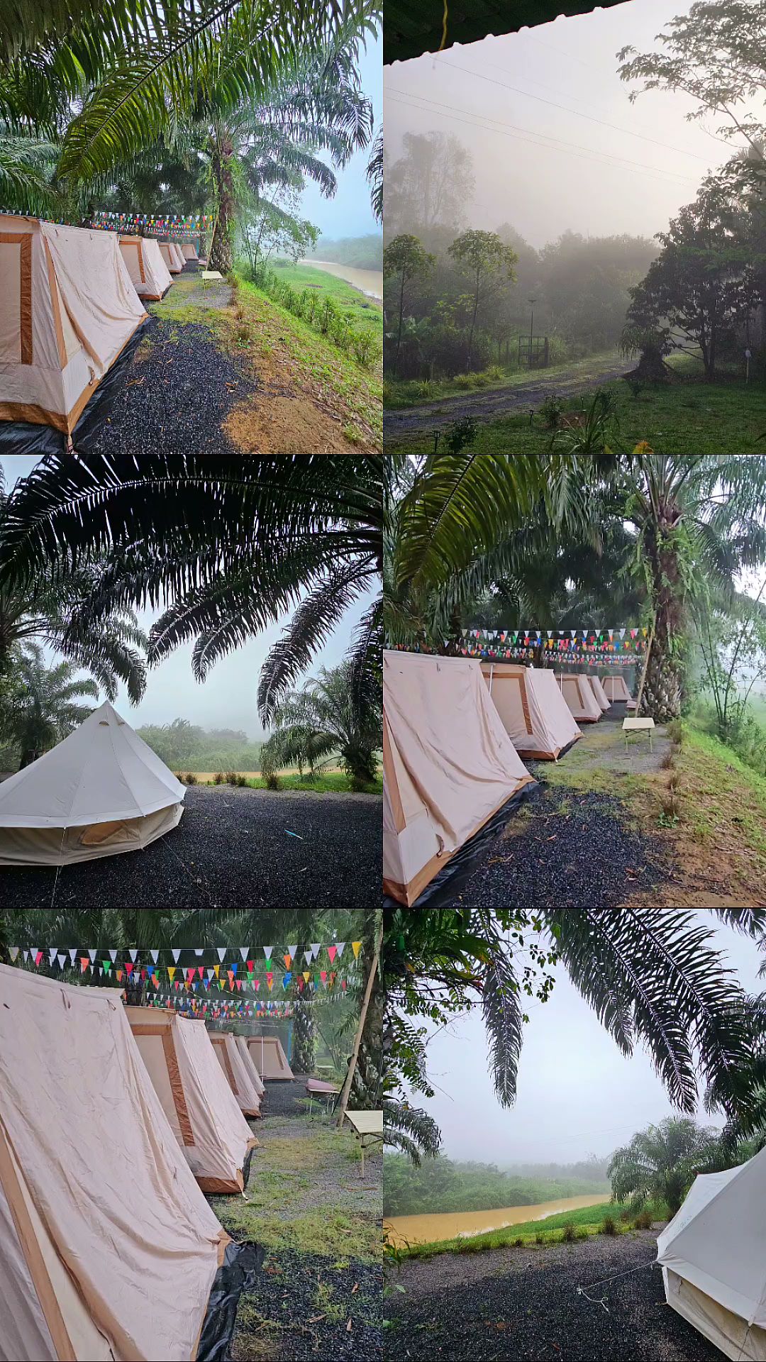 เต็นท์แกลมปิ้งสีขาวเรียงแถวท่ามกลางสวนปาล์มริมแม่น้ำในบรรยากาศหมอกยามเช้า ตกแต่งด้วยธงสามเหลี่ยมหลากสี
