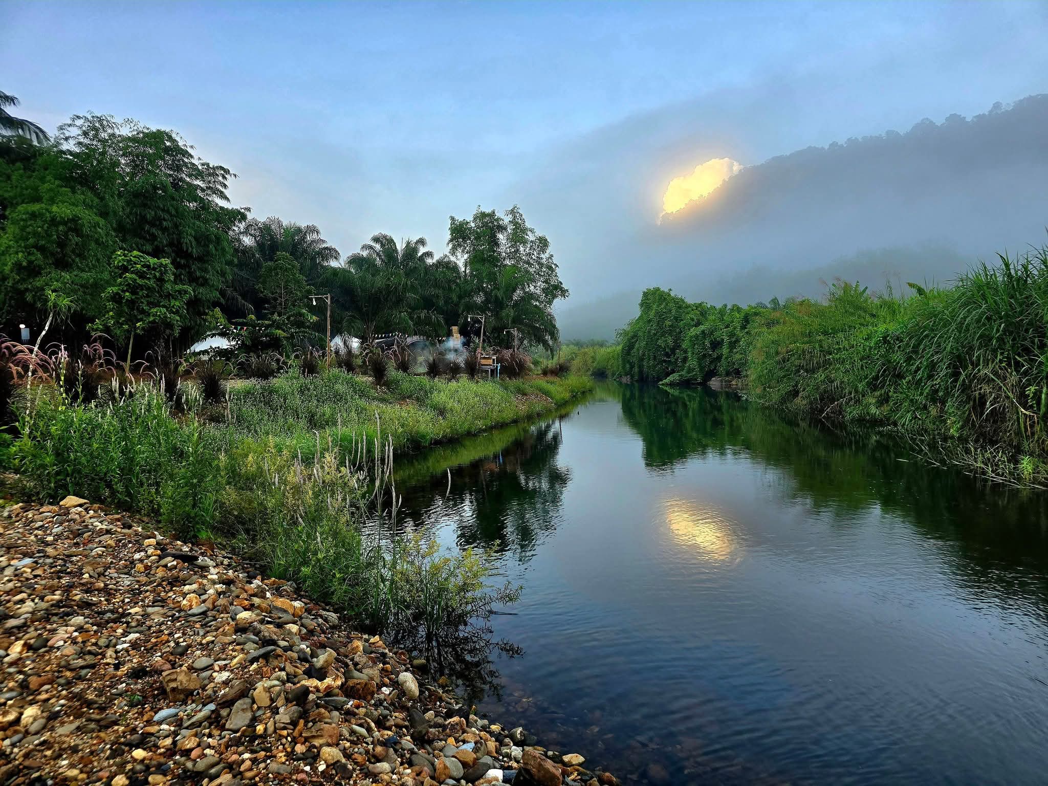 วิวแม่น้ำยามเช้าที่มีหมอกปกคลุมภูเขา ล้อมรอบด้วยต้นไม้เขียวขจีและก้อนหินริมน้ำในบรรยากาศธรรมชาติเงียบสงบ