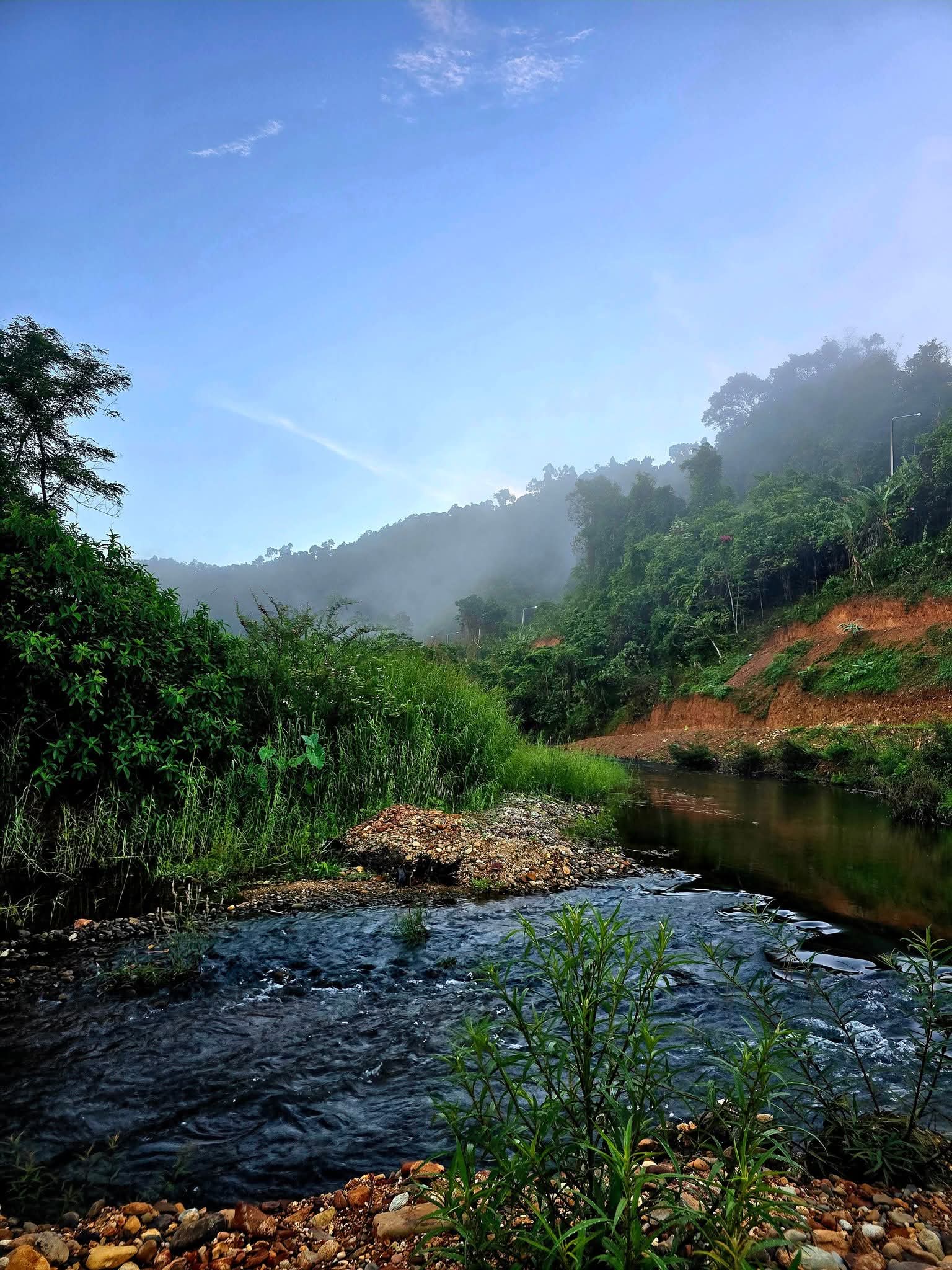 ลำธารน้ำใสไหลผ่านหุบเขาเขียวชอุ่มท่ามกลางหมอกยามเช้าและภูเขาที่ปกคลุมด้วยป่าไม้เขตร้อน