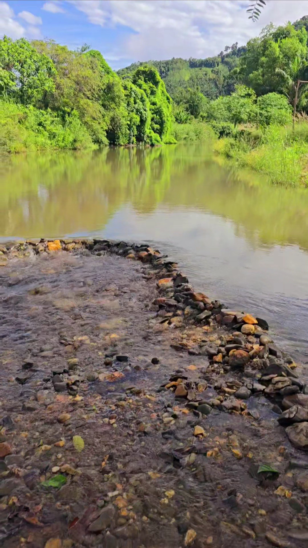 วิวแม่น้ำสายสงบท่ามกลางธรรมชาติสีเขียวขจีพร้อมเขื่อนหินเล็กๆ กลางลำน้ำ