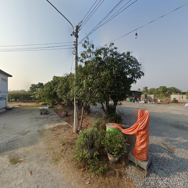 บริเวณทางเข้าร้านอาหารในชนบทไทย มีต้นไม้ใหญ่ เสาไฟฟ้า และผ้าสีส้มคลุมโต๊ะ บนพื้นลูกรัง