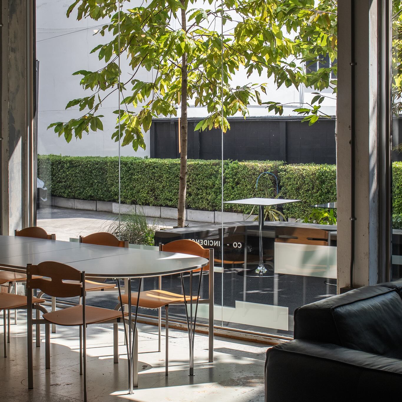ภายในคาเฟ่สไตล์โมเดิร์นพร้อมโต๊ะเก้าอี้และโซฟาหนังสีดำ มองผ่านกระจกบานใหญ่เห็นสวนต้นไม้และพุ่มไม้เขียวขจีด้านนอก