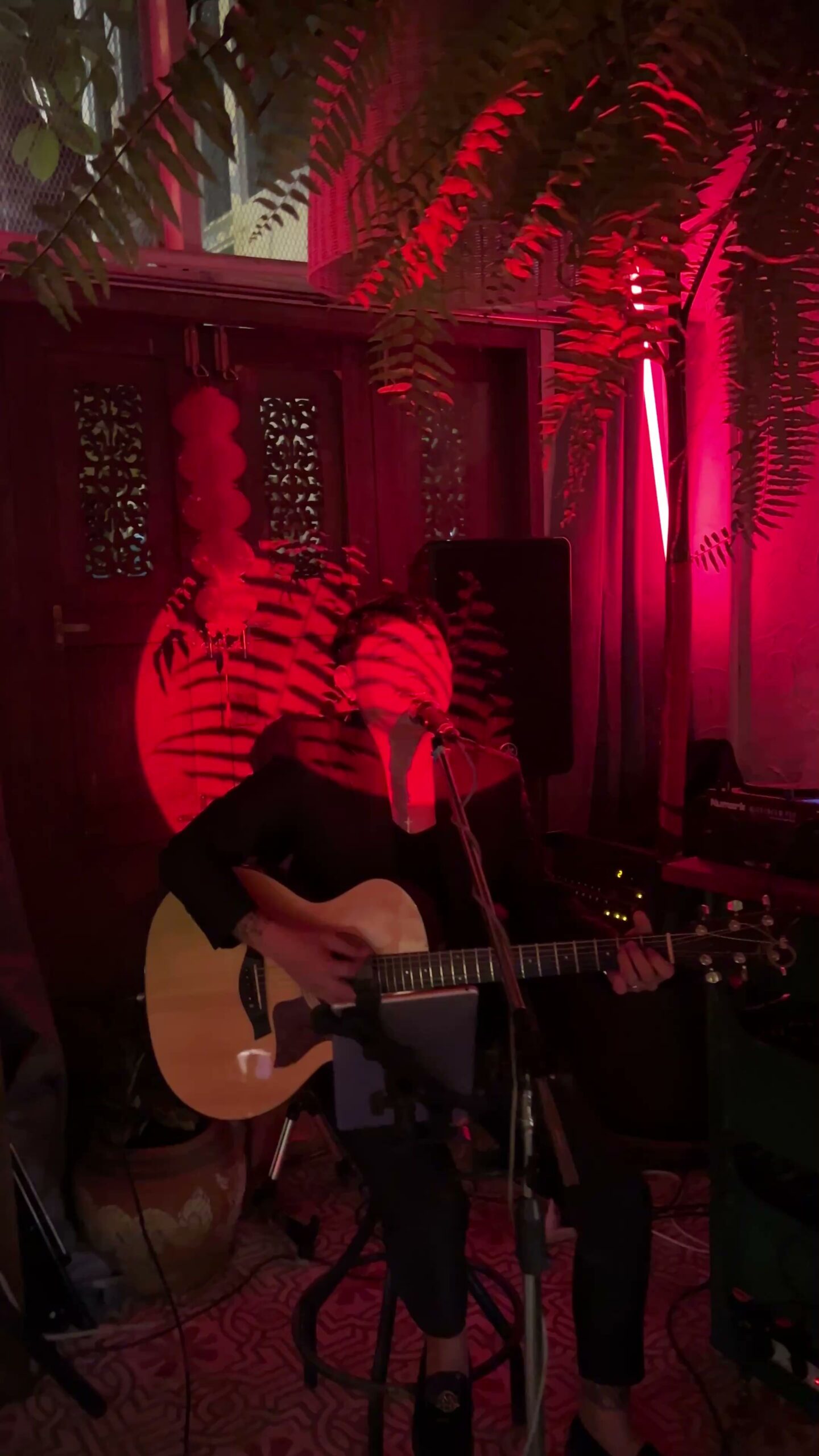 นักดนตรีเล่นกีตาร์โปร่งในบรรยากาศแสงสีแดงของร้านอาหาร มีต้นเฟิร์นประดับและไมโครโฟน