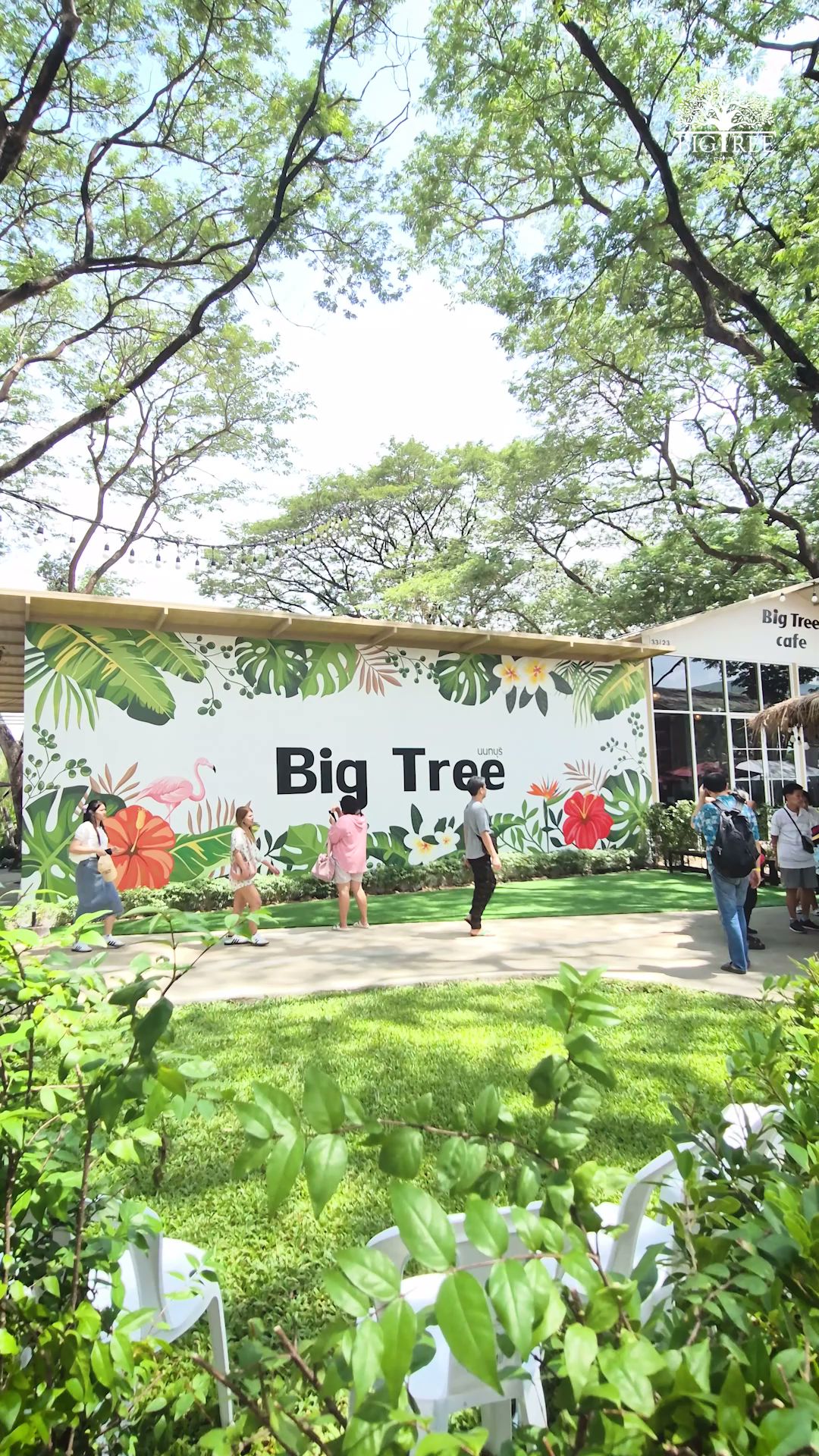 ป้ายหน้าร้าน Big Tree Cafe นนทบุรี ตกแต่งด้วยภาพวาดดอกไม้เขตร้อนและนกฟลามิงโก มีสนามหญ้าสีเขียวและต้นไม้ใหญ่ร่มรื่น