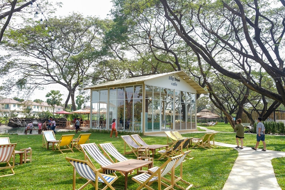 บรรยากาศภายนอกร้าน Big Tree Cafe อาคารกระจกใสล้อมรอบด้วยต้นไม้ใหญ่ มีเก้าอี้ผ้าใบนั่งเล่นบนสนามหญ้าสีเขียว
