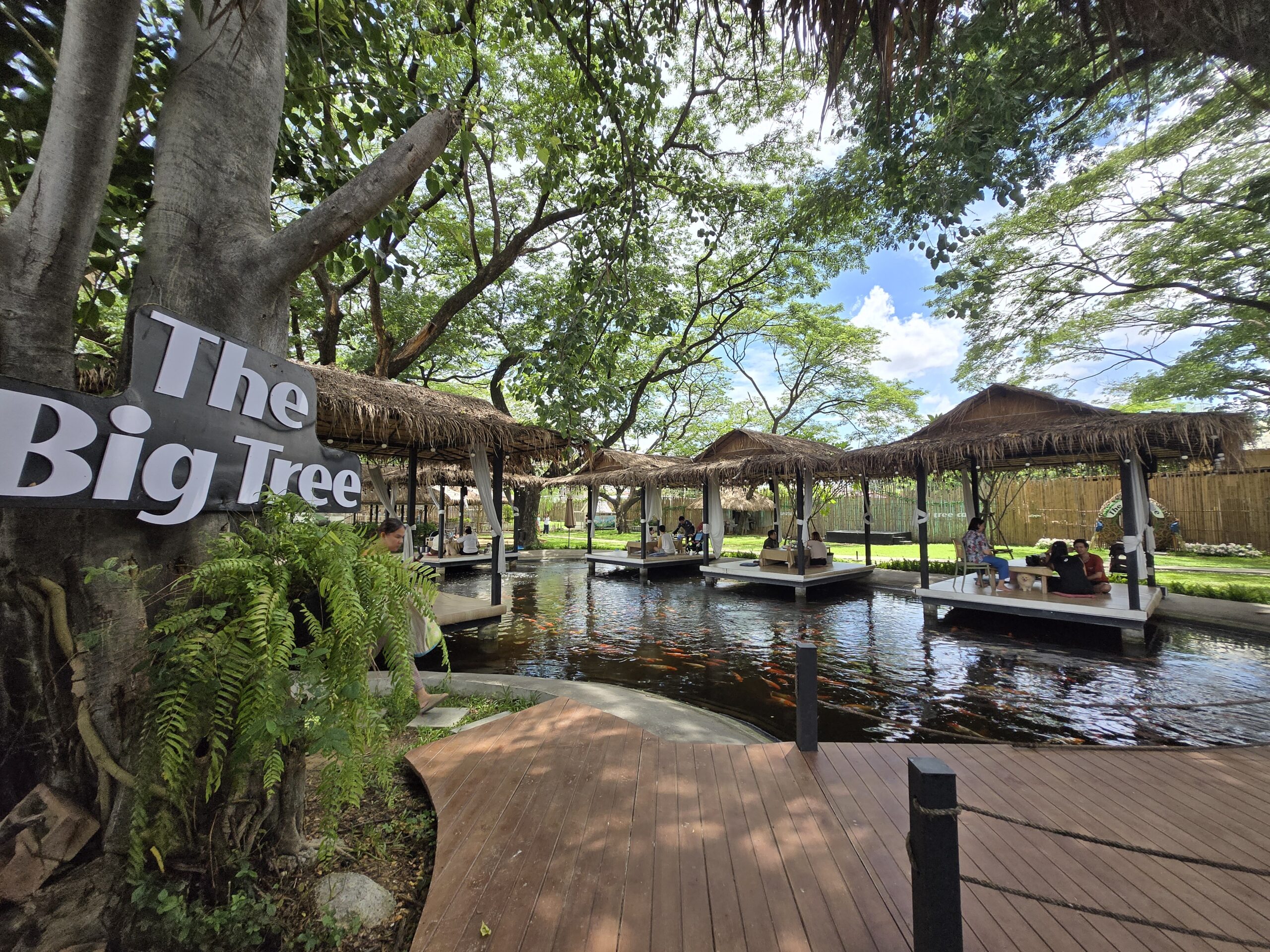 ร้านอาหาร The Big Tree มีศาลาหลังคามุงจากตั้งอยู่กลางสระน้ำมีปลาคาร์ฟ ใต้ร่มไม้ใหญ่ บรรยากาศร่มรื่นเป็นธรรมชาติ