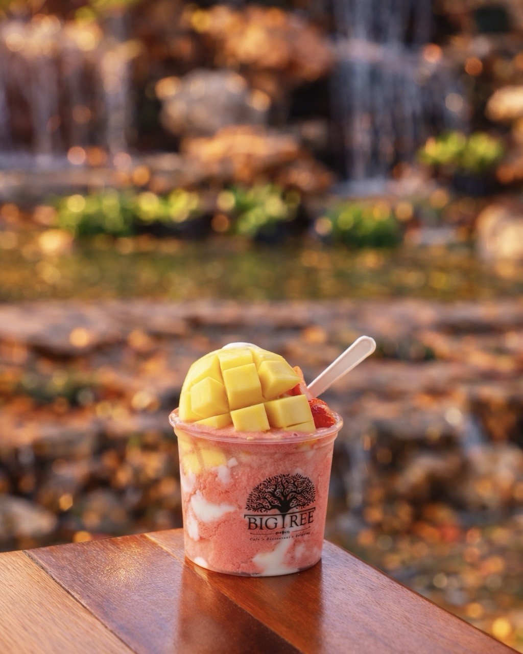 บิงซูมะม่วงสดในถ้วยร้าน Big Tree วางบนโต๊ะไม้ มีน้ำตกเป็นฉากหลังสวยงาม
