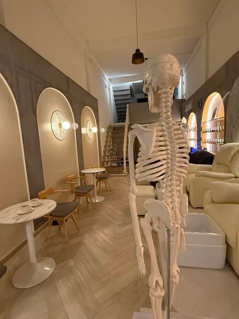 โครงกระดูกจำลองตั้งอยู่กลางร้านคาเฟ่สไตล์มินิมอลโทนสีขาวครีม มีโซฟาและโต๊ะนั่งเล็กๆ พร้อมซุ้มโค้งตกแต่งด้วยไฟ